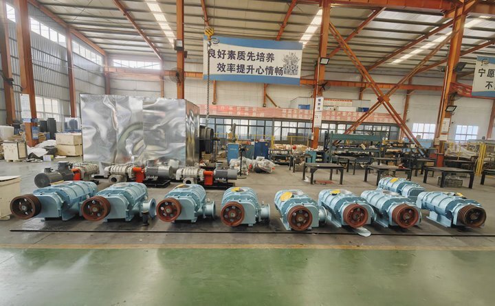 羅茨鼓風(fēng)機